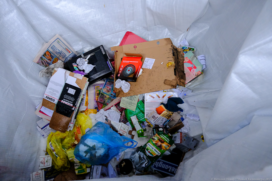 Калининградцев приглашают на субботник для уборки прудов Нансена