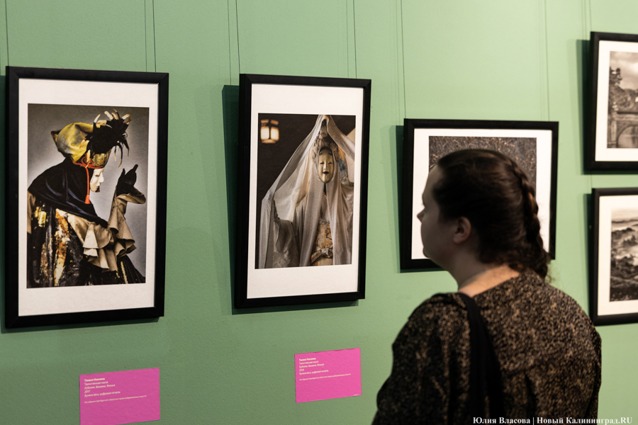 Япония рядом: в Музее изобразительных искусств открылись Дни Эрмитажа (фото)