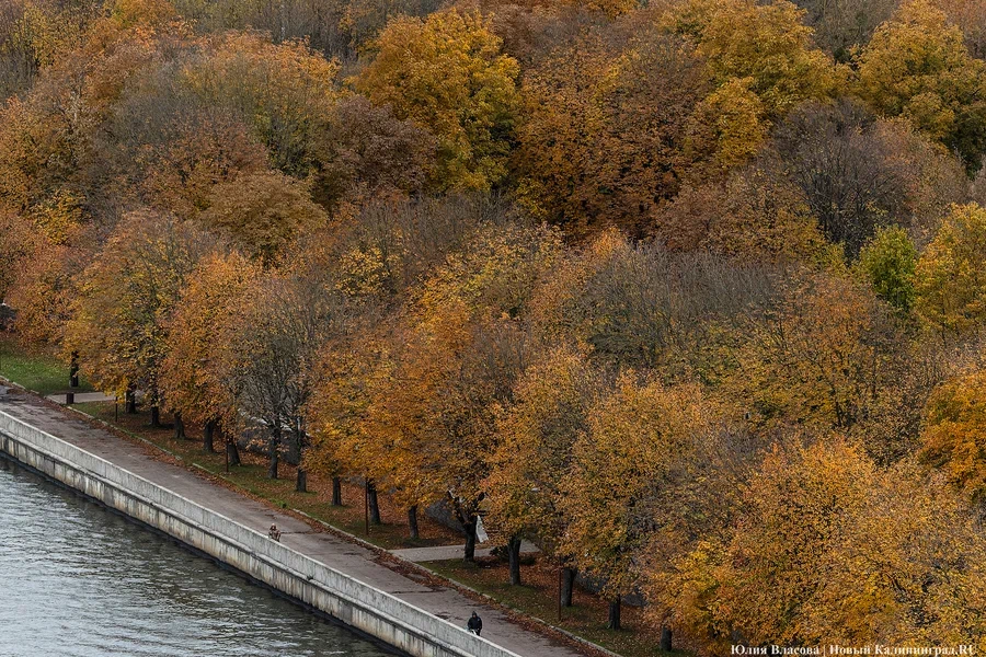 Погода в Калининградской области 5 октября