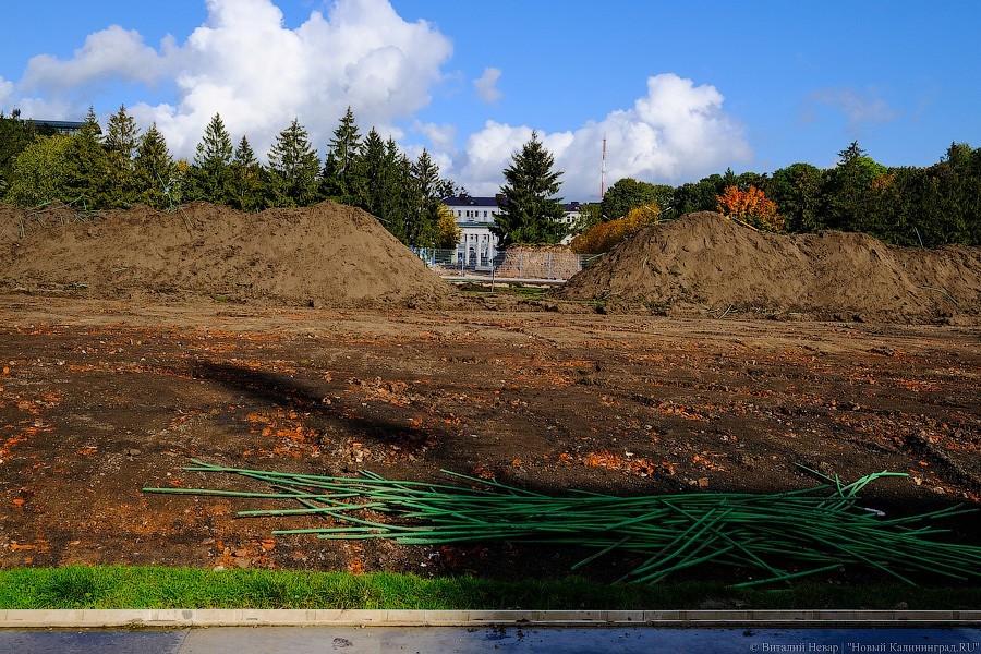 Огород вместо поля: что происходит со стадионом «Балтика» прямо сейчас (фото)