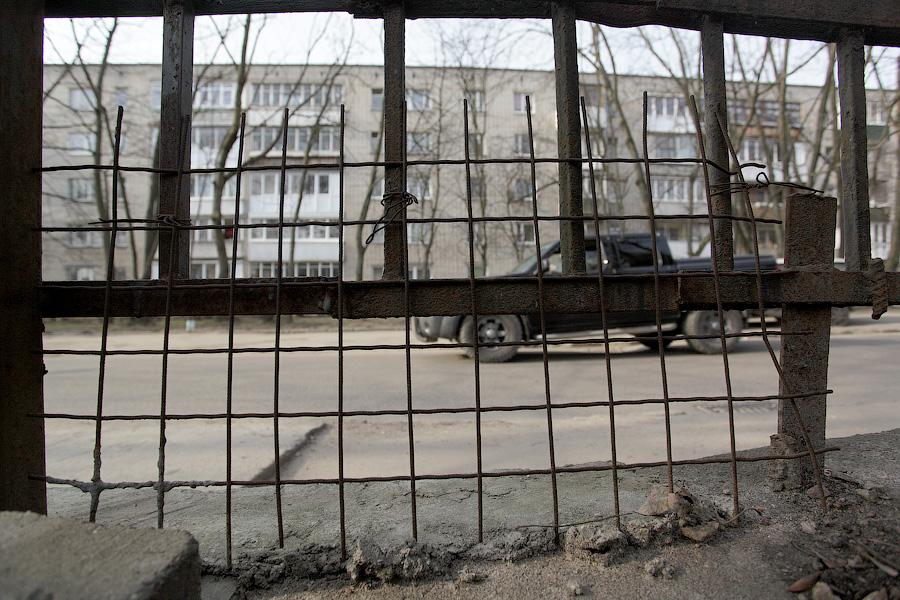 «Собаки уже неделю рвали забор»: что произошло с кенгуру в Калининградском зоопарке