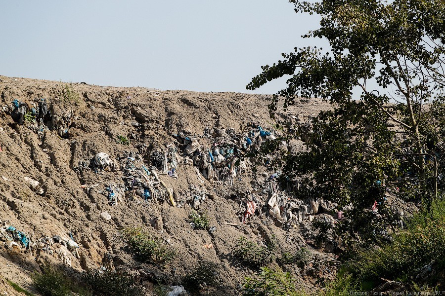 Минприроды региона намерено расширить переполненный мусорный полигон в Круглово