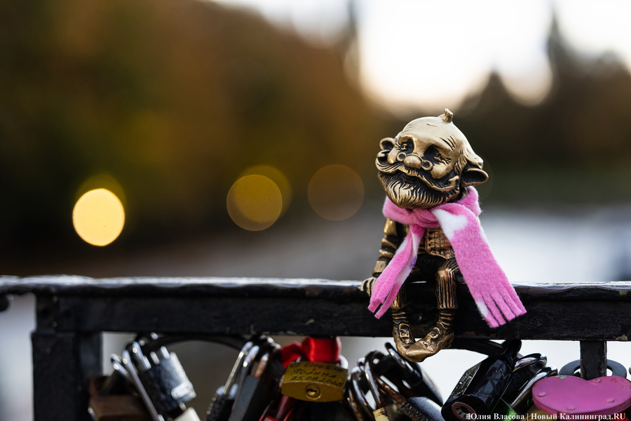 Погода в Калининградской области 9 ноября