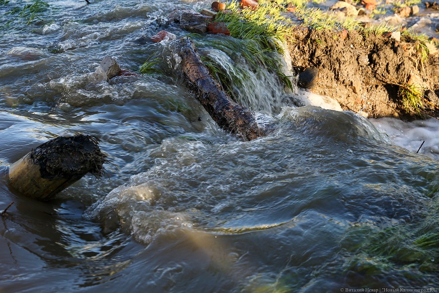 Набережная вышла из берегов: фоторепортаж с затопленной Трибуца
