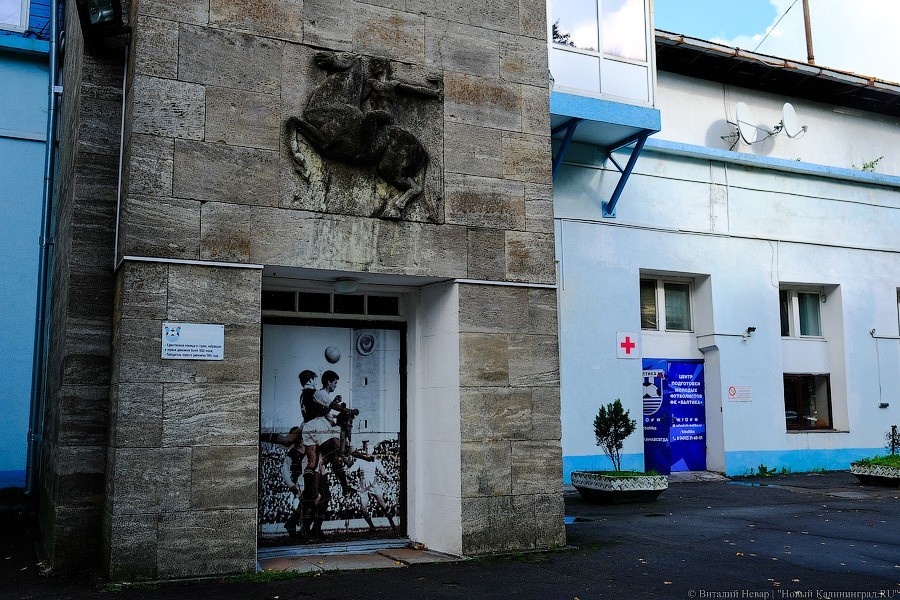 Огород вместо поля: что происходит со стадионом «Балтика» прямо сейчас (фото)