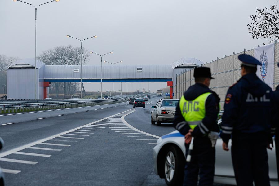 Посадить дерево и открыть трассу: как губернатор добрые дела делал