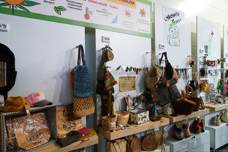 Ничего невозможного: под Калининградом открылся Музей мусора (фото)