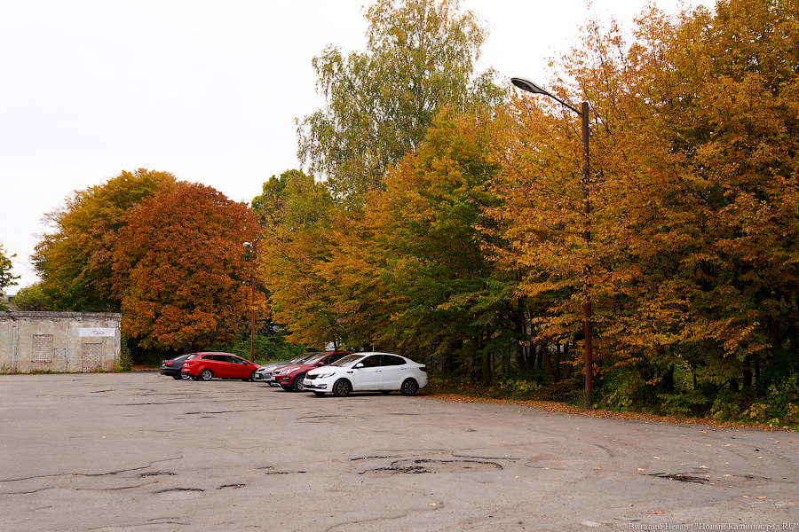 Увидеть в последний раз: осень на стадионе «Спартак», который хотят застроить (фото)