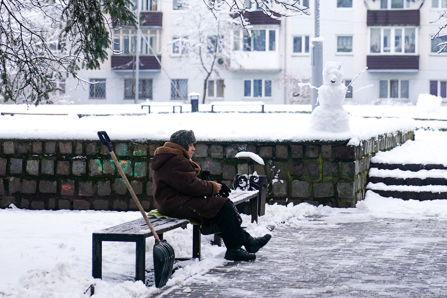 За ночь Калининград замело снегом. Вот как выглядел город утром 13 января (фото)