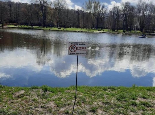 Парк Зеленоградска сделали особо охраняемой территорий и запретили там рыбалку