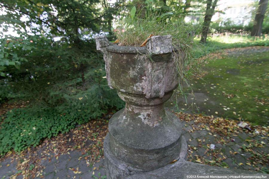 «Куда ушли детские сады. Продолжение»: фоторепортаж «Нового Калининграда.Ru» 