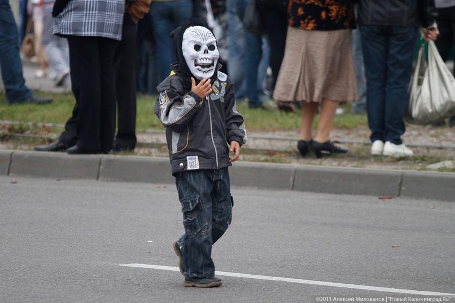 "Последний осенний": фоторепортаж "Нового Калининграда.Ru"