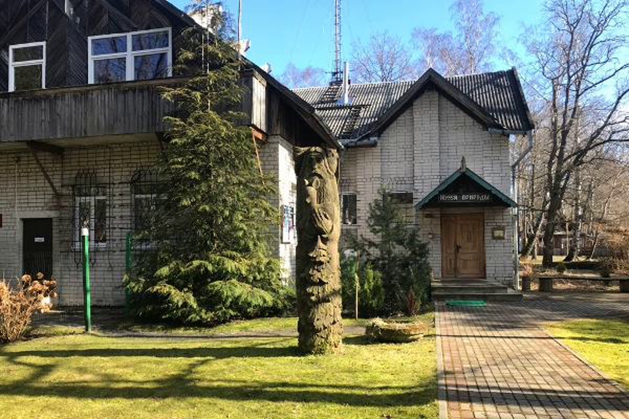 Власти Светлогорска отменили аукцион по поиску арендаторов для музея природы