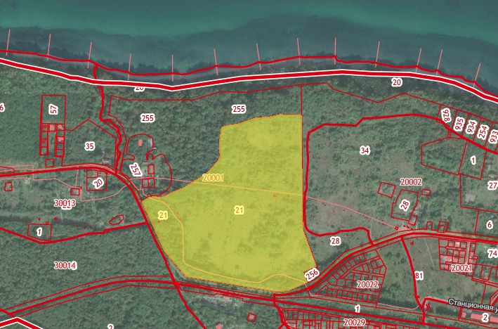Инвестсовет согласовал бесплатную передачу под застройку 31 га в Отрадном