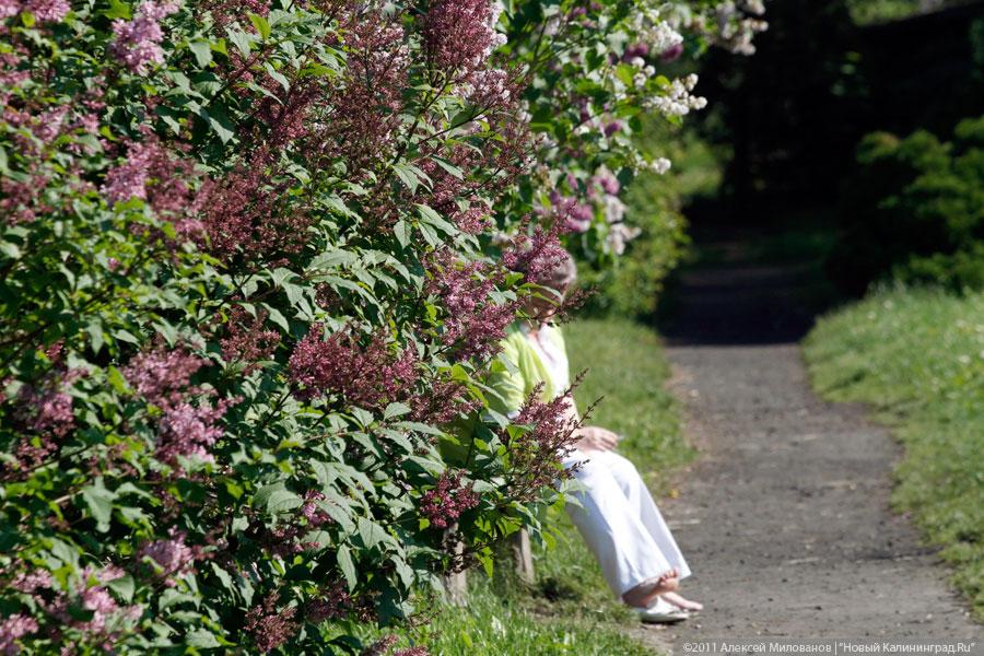 "Самая зеленая зона": фоторепортаж "Нового Калининграда.Ru"