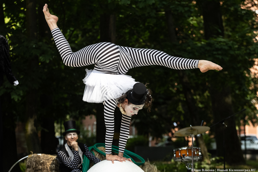 Это просто цирк какой-то: фестиваль «Башня» запустил уличную программу на «Балтике» (фото)