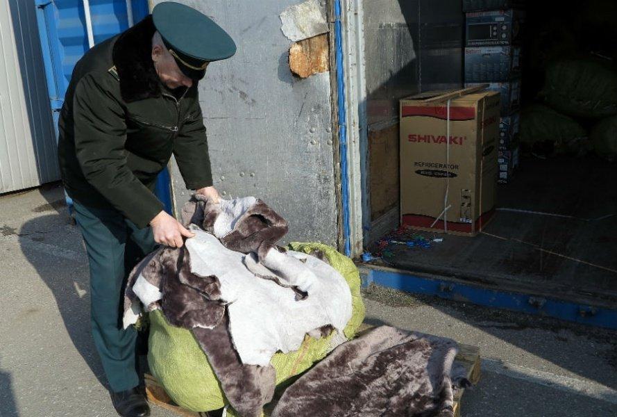Калининградские таможенники не пустили в Москву тонну овечьих шкур (фото) 