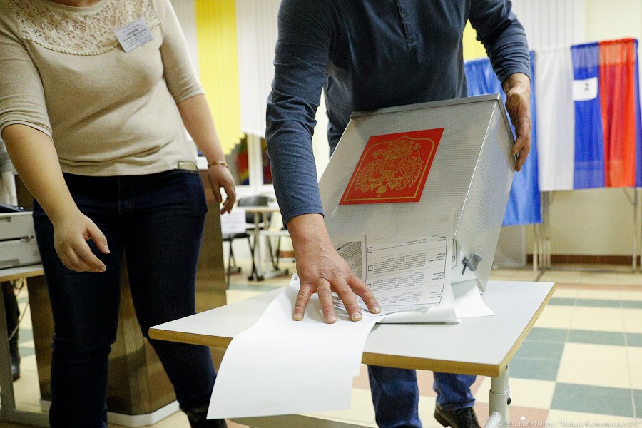 Легитимизируя данность: как в Калининграде проходил подсчет голосов (фото)