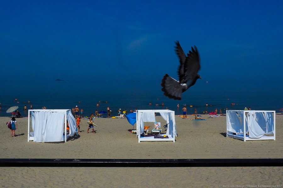 «Там только джаги-джаги»: власти Балтийска надумали отобрать частный променад