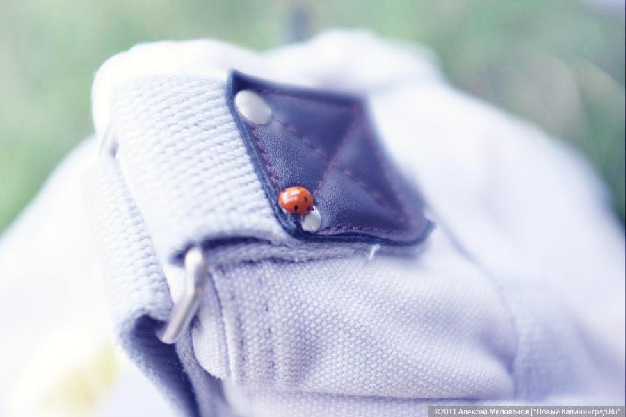 "Насекомая страна": фоторепортаж "Афиши Нового Калининграда.Ru"