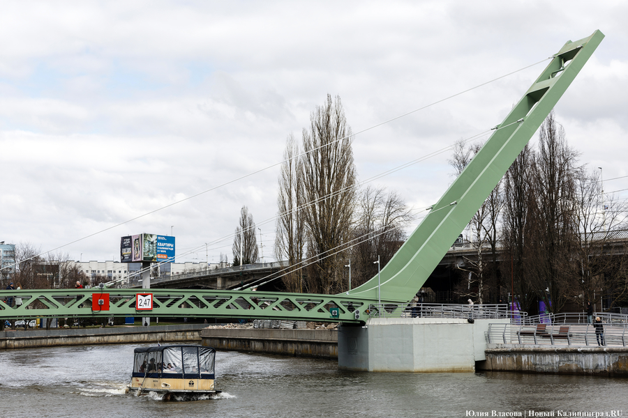 От музея до острова: как в Калининграде открывали Философский мост (фото)