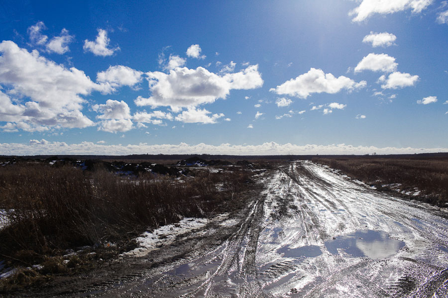 Росстат: только 35,5% дорог Калининградской области соответствуют нормативам