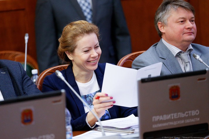 Областное правительство предложило жаловаться на министра экономики самому министру