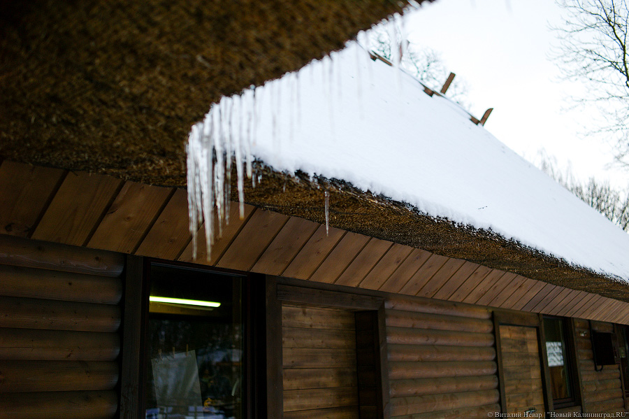 Проще — не всегда правильнее: в Калининградском зоопарке отремонтировали исторические вольеры (фото)