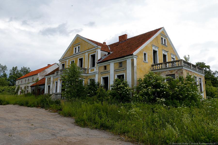 Фото: Виталий Невар / Новый Калининград