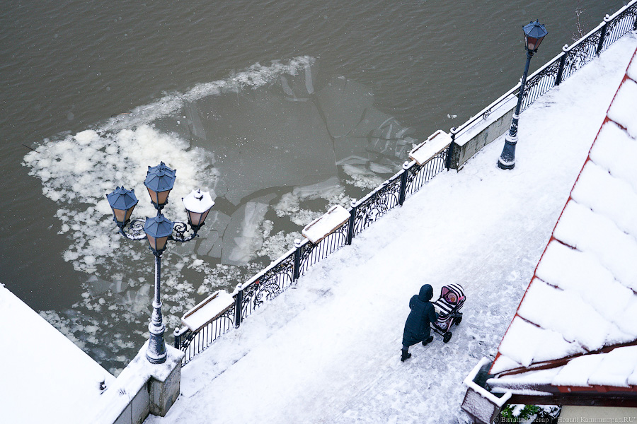 За ночь Калининград замело снегом. Вот как выглядел город утром 13 января (фото)
