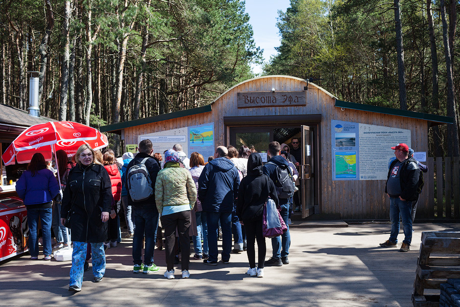 «Надо что-то делать, это нереально»: Куршская коса едва справляется с турпотоком
