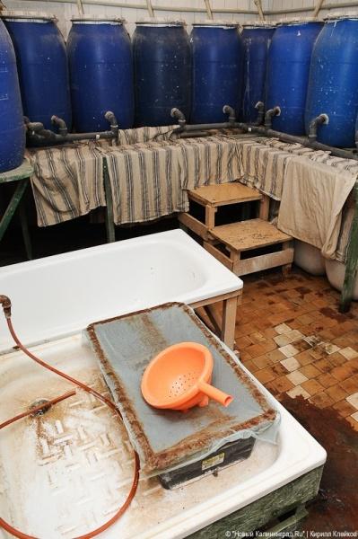 "Патриарший" янтарь: фоторепортаж "Нового Калининграда.Ru"