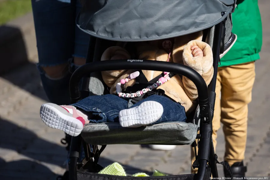 Комитет Заксобрания поддержал введение бесплатной юрпомощи для многодетных