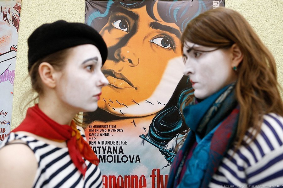  Кино на книжной полке: в Калининграде прошла пятая «Библионочь»