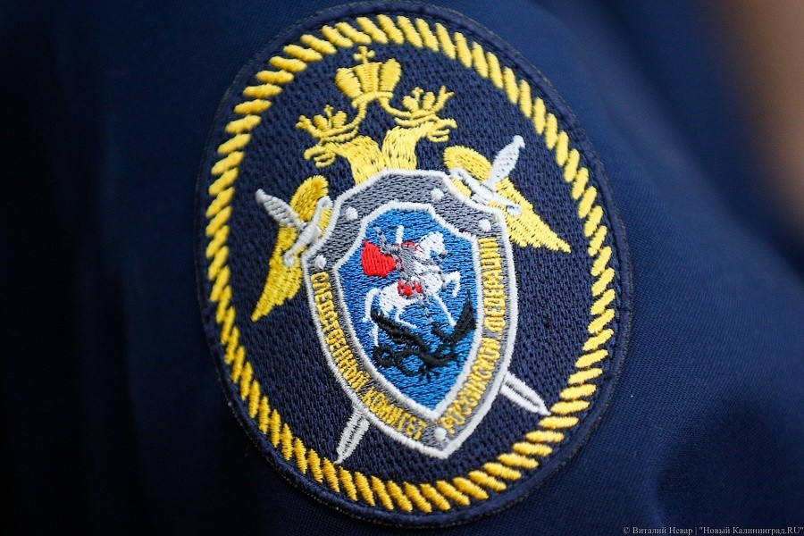 На берегу пруда в Калининграде нашли раздетый труп жителя Коми