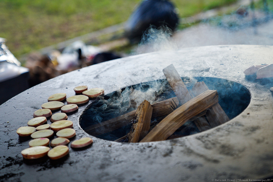 Взять в руку и есть: у Дома Советов прошел городской пикник Kaliningrad Street Food