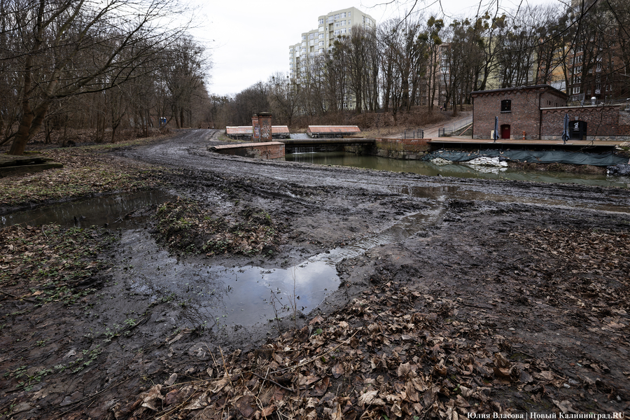 Непролазная грязь: как выглядит берег Литовского ручья в ожидании реновации (фото)