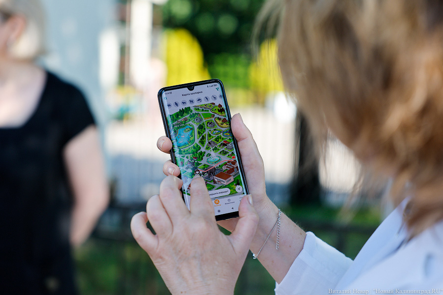 Последний транш: как Калининградский зоопарк завершает совместный с Евросоюзом проект (фото)