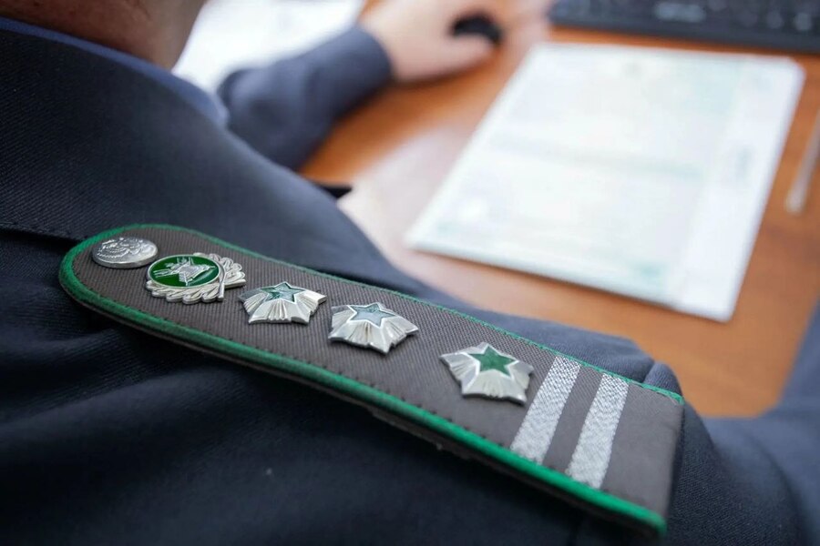 В Калининград пытались ввезти 480 кг пестицидов из Германии для Украины