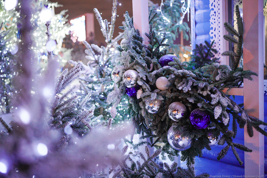 Свая Эдик вместо Снегурочки: у стадиона «Калининград» появился Домик Деда Мороза (фото)