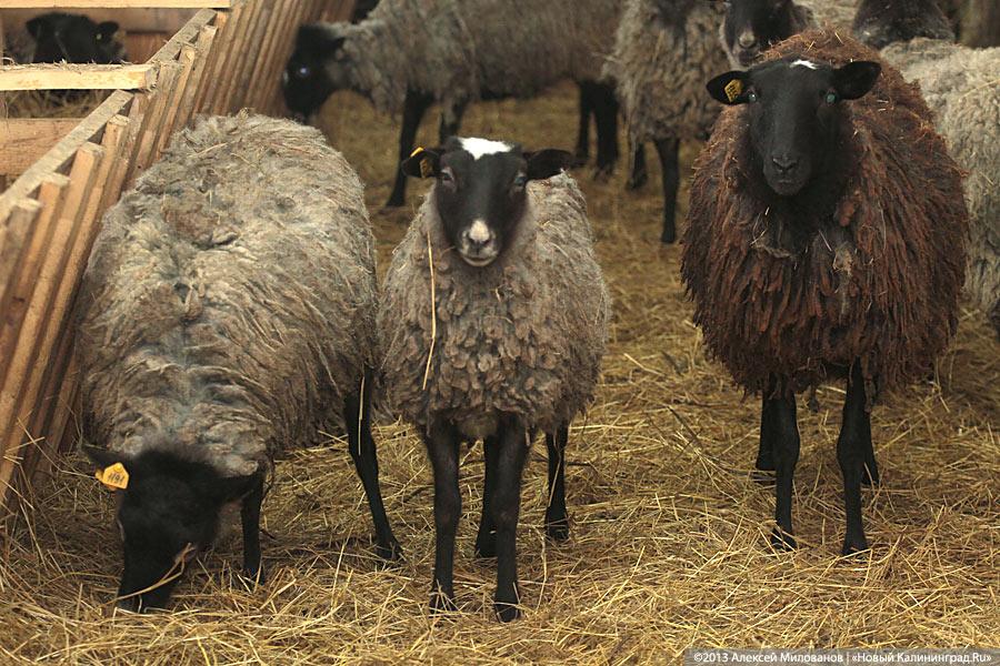 «Это же не Урюпинск!»: Николай Цуканов в Озёрске