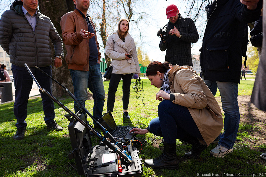 Правило «небуравчика»: власти Калининграда презентовали томограф для деревьев (фото)