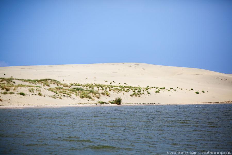 Дюны, мысы, птицы: как работает новый маршрут Куршской косы по воде