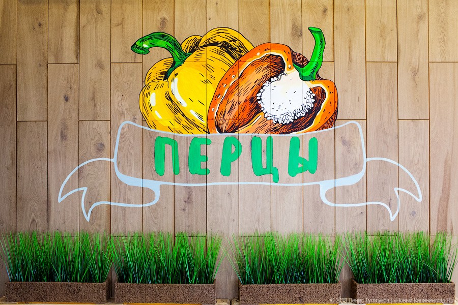 Новое место: кафе «Перцы» на месте бара «Торес»