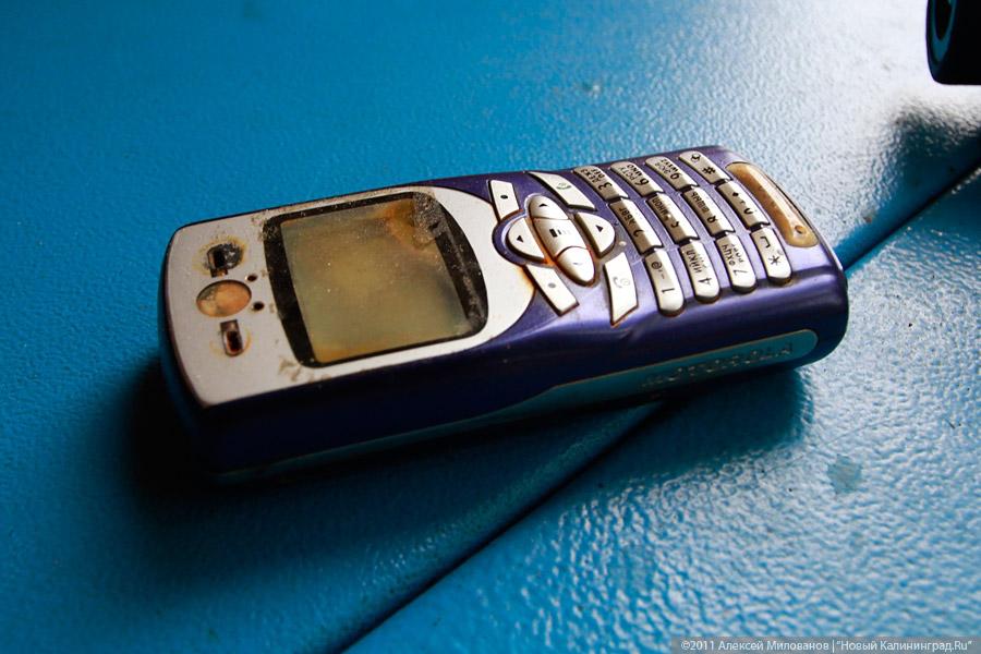 "Носом не дышать!" - репортаж "Афиши Нового Калининграда.Ru" из-под воды