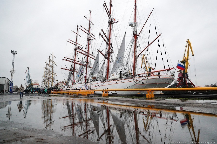 Калининградский барк «Седов» прибыл во Владивосток в рамках кругосветки