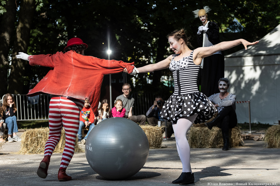 Это просто цирк какой-то: фестиваль «Башня» запустил уличную программу на «Балтике» (фото)