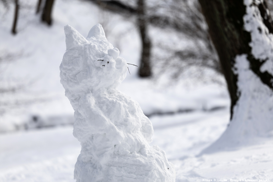 Зима не сдаётся: как выглядят улицы Калининграда после «снежного удара» (фото)