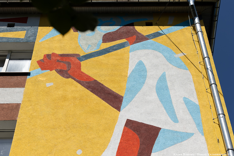 То, чему предстоит стать классикой: на зданиях БФУ им. Канта нарисовали четыре мурала (фото)