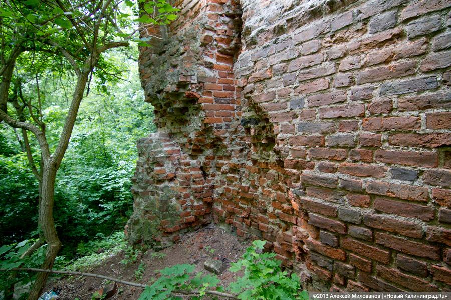 Черепки и воронки: «черные копатели» регулярно разграбляют руины кирхи в Корнево